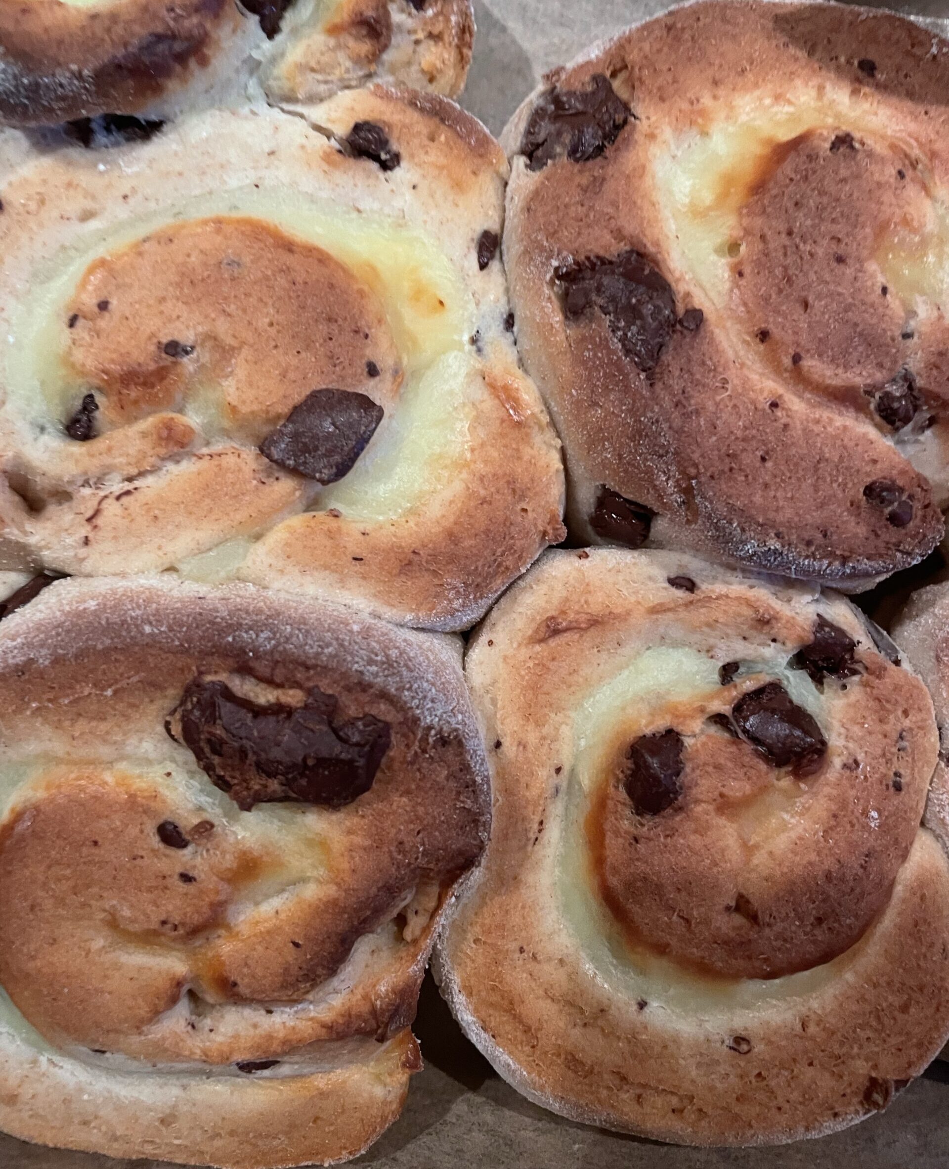 Vanillepudding-Schnecken mit Schokostücken